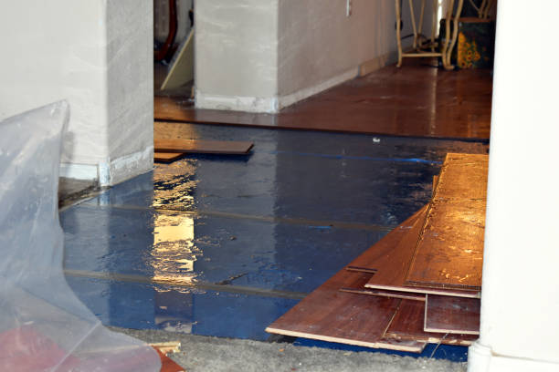 Professional Sewage Cleanup technician working in Platte, SD